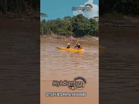 Visitaste la Reseva de Tambopata este 2026