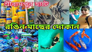 রঙিন মাছের দোকান শ্রীরামপুরের হাটে | Aquarium Fish Serampore Haat | Aquarium Fish Price | Fish Haat