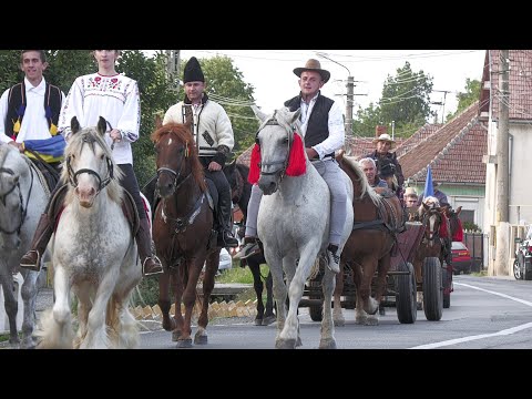 Parada Cailor Tășnad - Satu Mare 18 Septembrie 2021