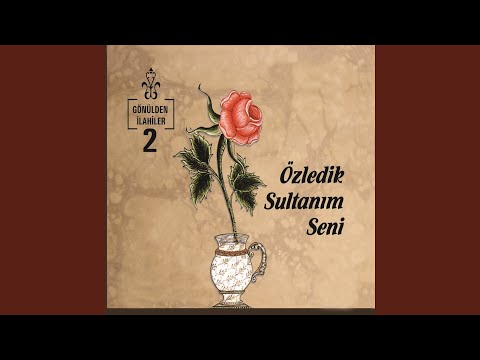 Şu Benim Divane Gönlüm