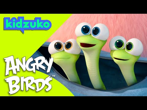 🐍 Snake Encounters with the Hatchlings 🐥 | 🌕 Lunar New Year 🧧 | Angry Birds | Compilation | @Kidzuko