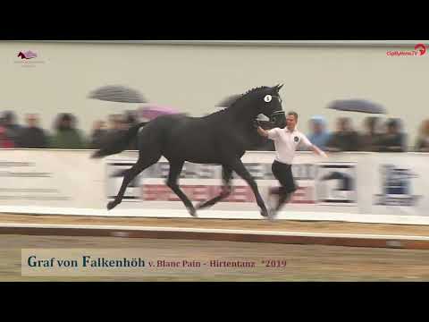 Blanc Pain v. Peron Junior - Silvermoon