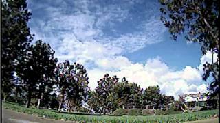 Rotor X  1105B 6500kv  Chopped off both RX Antenna