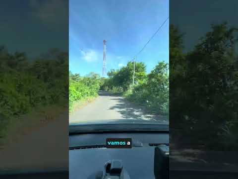 YAYANTIQUE
