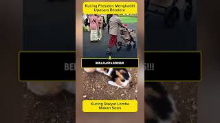 Download lagu SORY BOSS BEDA KASTA mp3