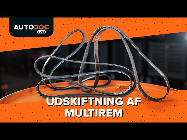 Se en videovejledning til hvordan du udskifter Multirem på FIAT DOBLO Chassis (263)