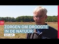 Toename op kans natuurbranden & een vijf sterren hotel | RTV Drenthe