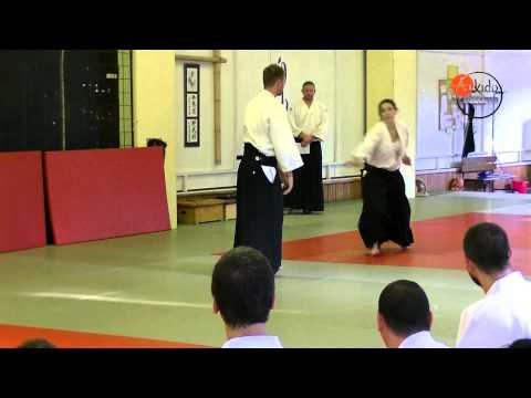 Dojo Dan Amiga