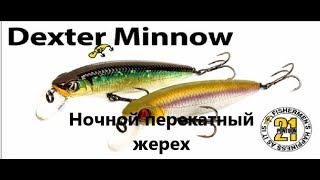 Pontoon 21 dexter minnow 71 sp-sr
