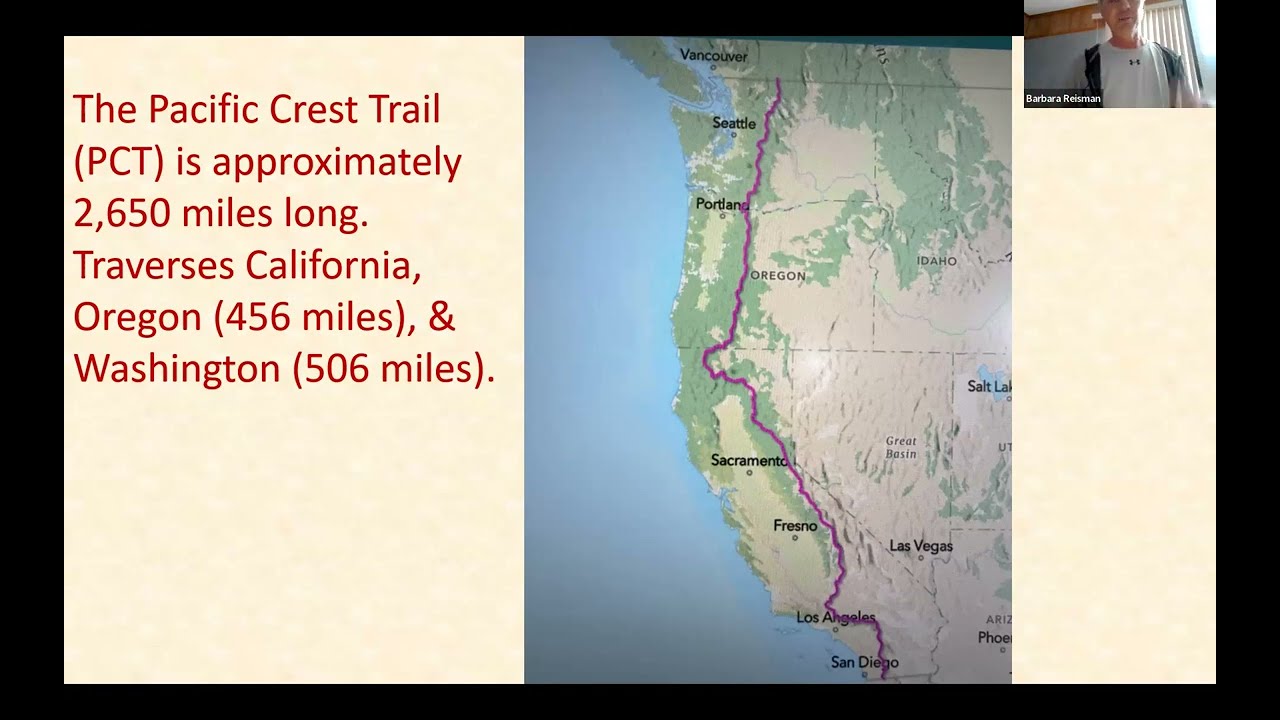 Dana York: Wildflowers on the Trail: Northern California Pacific Crest Trail