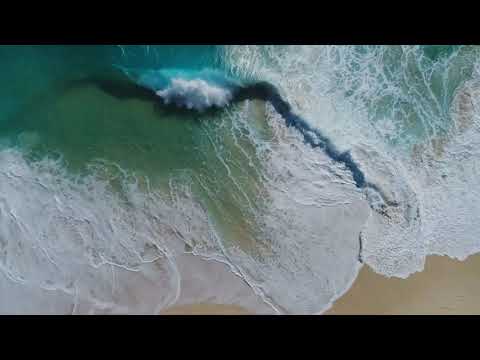 Andrew Vega - With You (feat. Nelicious)