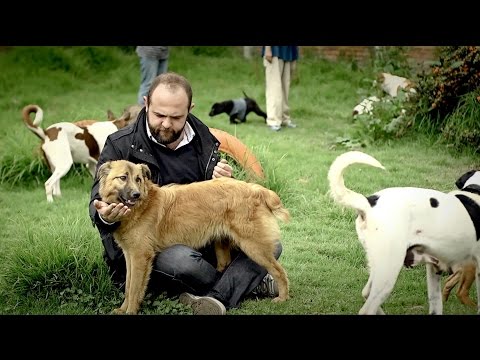 Los puros criollos - Perro criollo (Temporada 3)