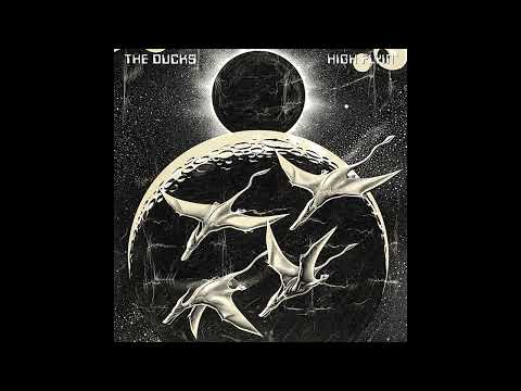 The Ducks - Windward Passage (Live)