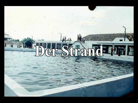 Marienfeld - History of Teremia Mare - Episode 3