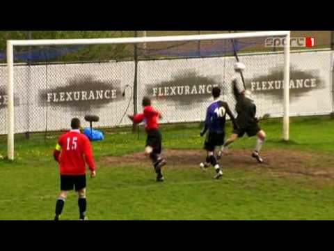 Pelikaan - Streefkerk