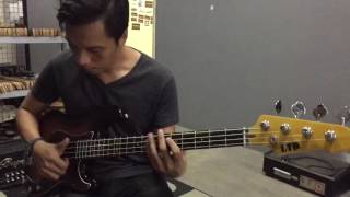Video thumbnail for LTD vintage 204 by Hazmeer Rojani