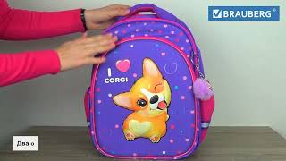  BRAUBERG OPTIMA, 2 ,  , "I love corgi", 3D-, 362718 , 271360