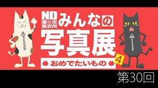 【第30回】NDみんなの写真展【おめでたいもの4】