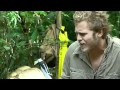 I'm a Celebrity USA... 2009 - Spencer Pratt Loses ...