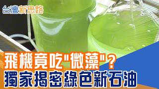飛機不再只靠石油？台灣把微藻煉成航空燃料 從吸碳、產氧到榨油 航空減碳新解方藏在台南｜【台灣新思路】#三立財經iNEWS