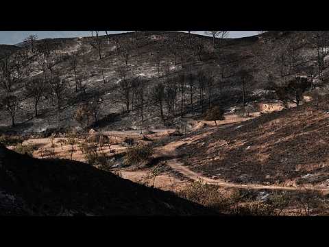 Video Thumbnail: Firefighters battle major wildfire as thousands of hectares burn in central Spain