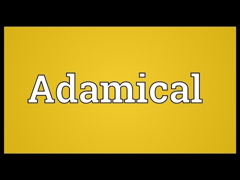 Adamical Meaning