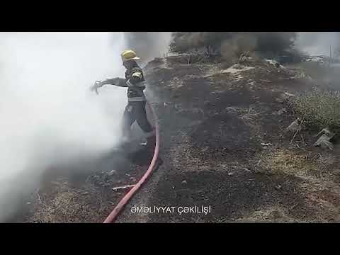 Ötən həftənin xronikası