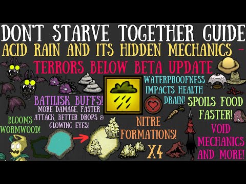 Acid Rain & Its Hidden Mechanics - Terrors Below Update - Don't Starve Together Guide [BETA]