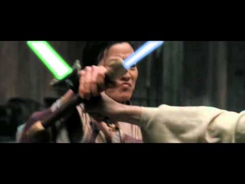 Crouching Tiger Swinging Lightsabers