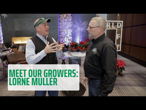 Produção de grãos antigos de alta qualidade no Canadá