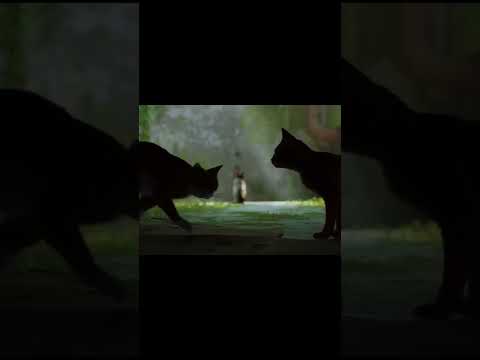 Stray is beautiful #Stray #shorts