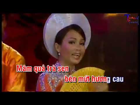 0547-Tết Quê Hương-Cẩm Ly Karaoke