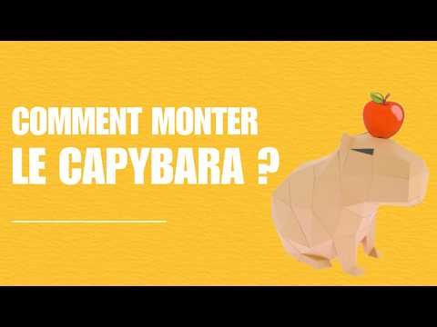 Capybara - vidéo de présentation