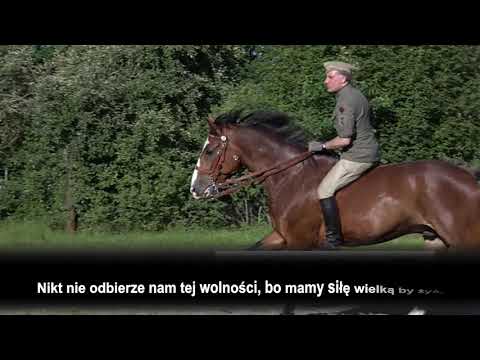 Tomasz Derach i Pirat - ''Jeszcze przytomni''  Lyrics napisy + mp3 do pobrania