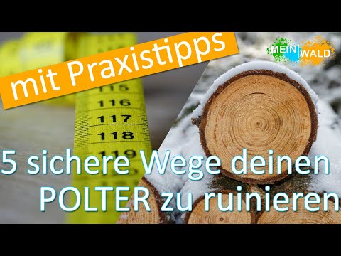 Holzpolter - So macht man es nicht 🪵💰 5 Wege den Durchschnittspreis zu senken