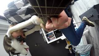 C418 - droopy likes ricochet cover