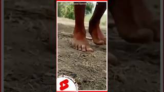 Download lagu Laman Lupa (Elementong Nangangain Ng Tao) Watch The Full Video On Our Channel! #related #related mp3