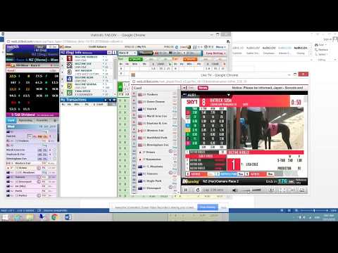 Citibet Tutorial  https://www.ctbapi.com/