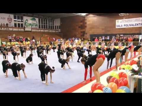 GALA 7/10 - GINETA STOENESCU 2011