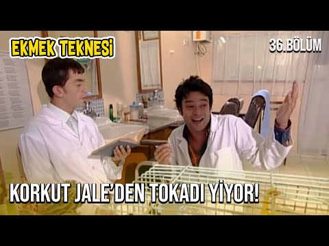 Korkut Gets Slapped by Jale! - Ekmek Teknesi - Episode 36
