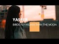 Yasper - "Birds Fly Higher Than The Moon"