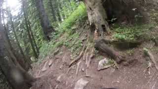 preview picture of video 'Happy bear trail sinaia downhill'