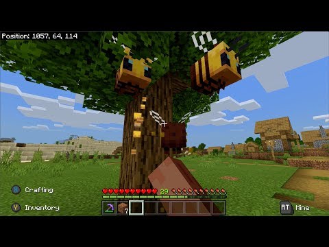 Epic Bee Chaos in Minecraft Pro Gameplay!