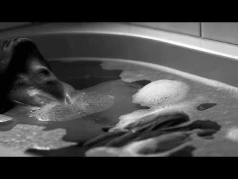 Djuma Soundsystem and Aki Bergen ft. Lazarusman - Love Her Madly (Aki Bergen Version)