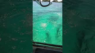 Darell and darwin helmet diving hehehee