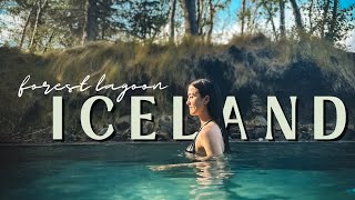 Iceland Cruise, Forest Lagoon - DITL of a Cruise Ship Performer | 🌟🛳️