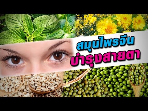 เครือข่ายทางสังคมและความแข็งแรง ยักษ์กระเจี๊ยวใน Picea เล็ก ๆ น้อย ๆ