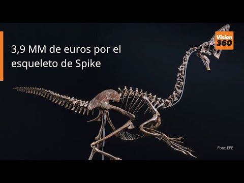 3,9 MM de euros por el esqueleto de Spike