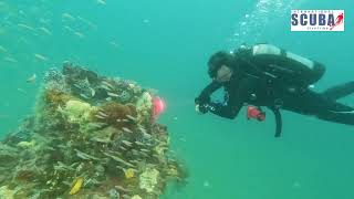 Download lagu PADI Open Water Intro Vid mp3
