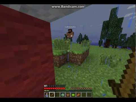 Minecraft minez server